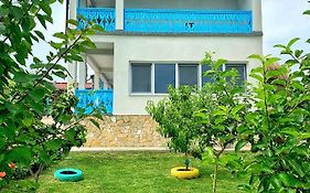 Hostal Casa Beluga Sarichioi Rumanía
